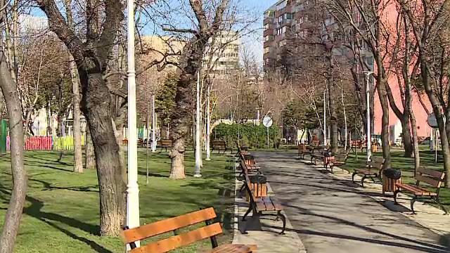 Horoscop 28 martie, cu Neti Sandu. Leii fac marele pas spre căsătorie