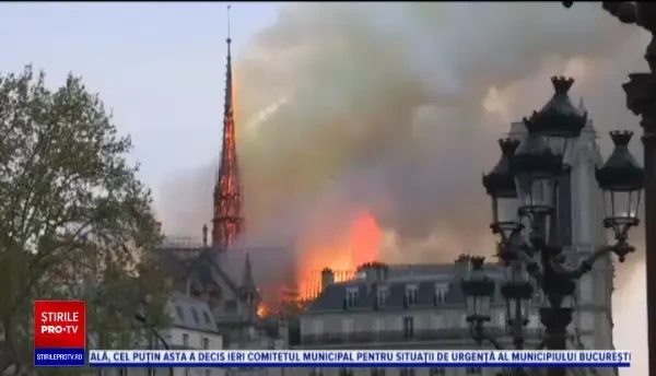 Acoperișul catedralei Notre Dame va fi reconstruit din stejari bătrâni de peste 200 de ani