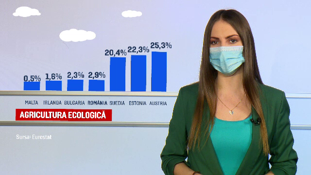 UE vrea să crească suprafața terenurilor pentru agricultură ecologică. Cât de rău stă România