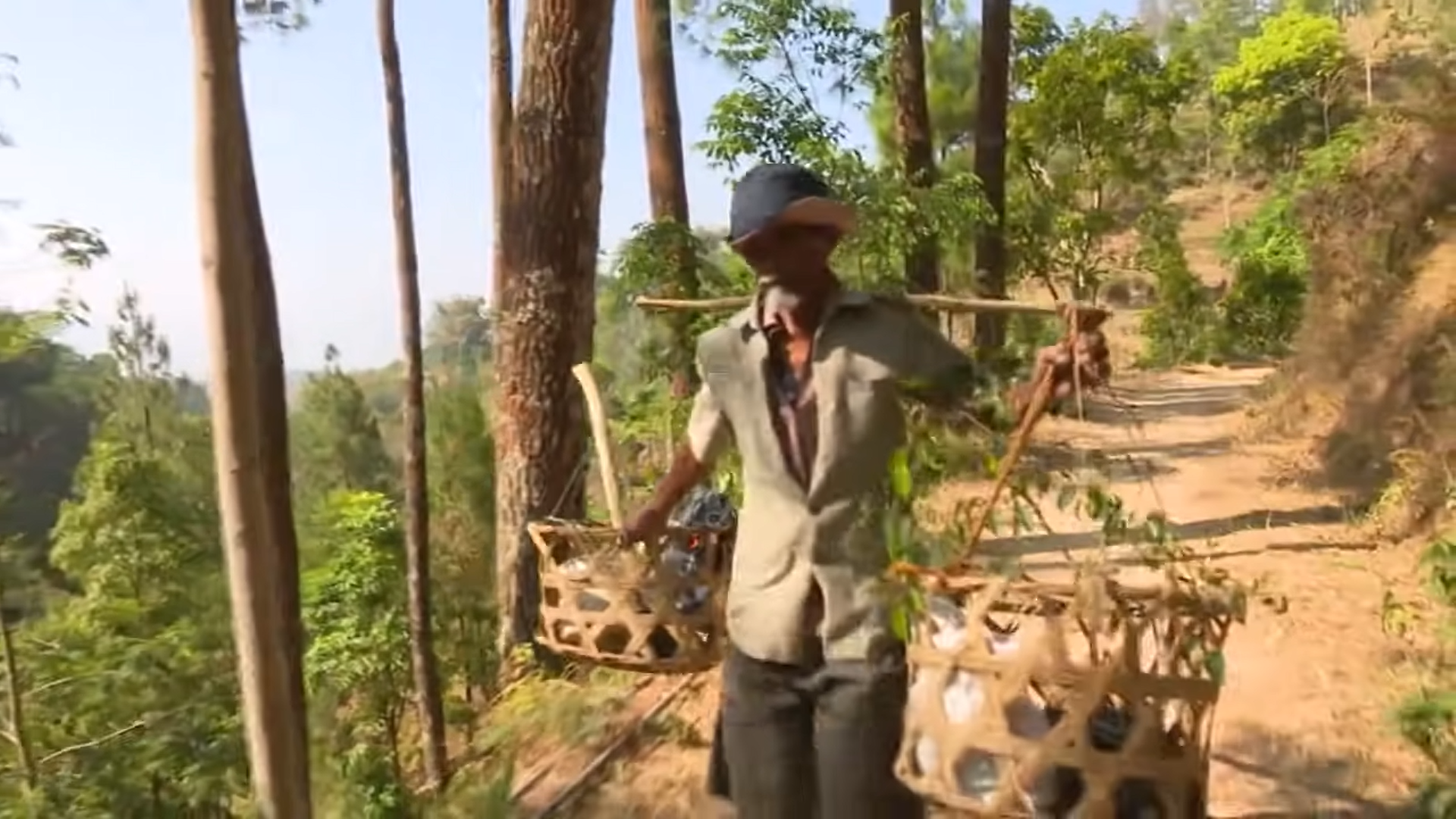 Un bărbat a plantat de unul singur o pădure întreagă. Sătenii îl credeau nebun, dar după 24 de ani au scăpat de secetă