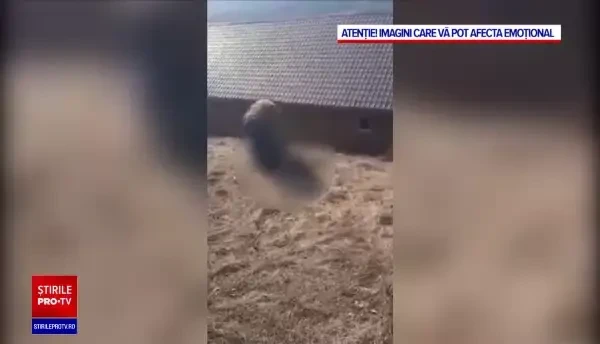 Fostul antrenor din Cavnic filmat lovind un băiat de 16 ani dezminte acuzațiile