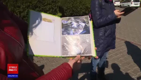 Pedeapsă maximă pentru un gălățean care a ucis câinele vecinilor. „Când eu plec la puşcărie, tu-ţi bagi doliu în casă”