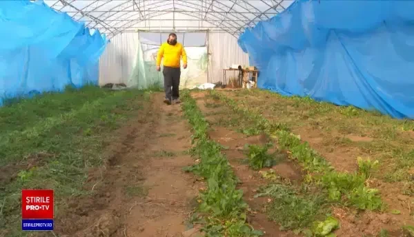 UE vrea să crească suprafața terenurilor pentru agricultură ecologică. Cât de rău stă România