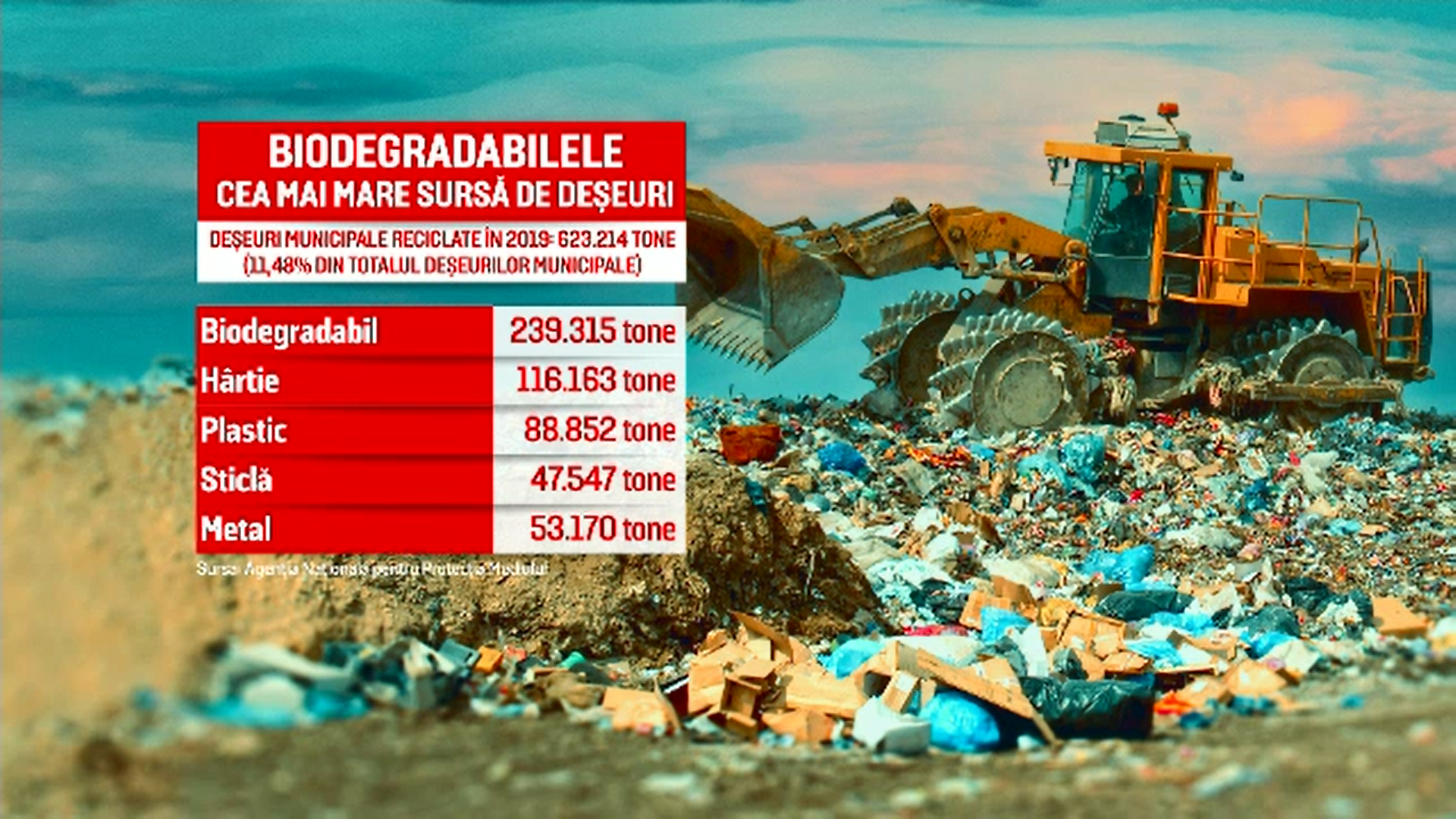 Experimentul care demonstrează că paharele „biodegradabile'' nu dispar peste noapte în natură