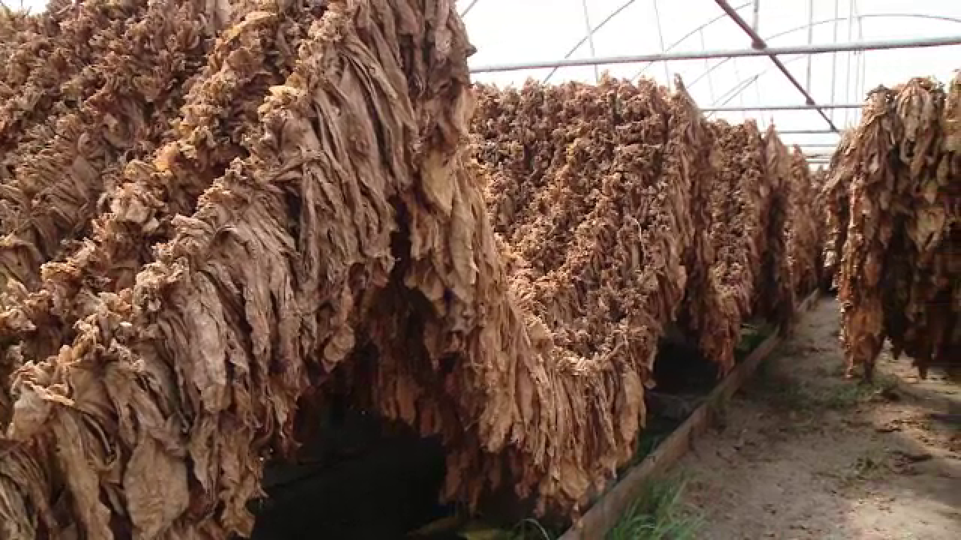 Care este cel mai exportat produs agricol al României