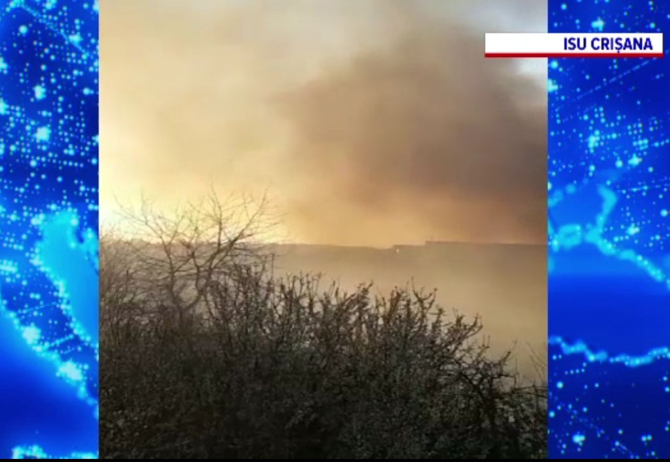 Un incendiu de vegetație amenința fabricile din apropiere de Oradea. Pompierii l-au lichidat după patru ore