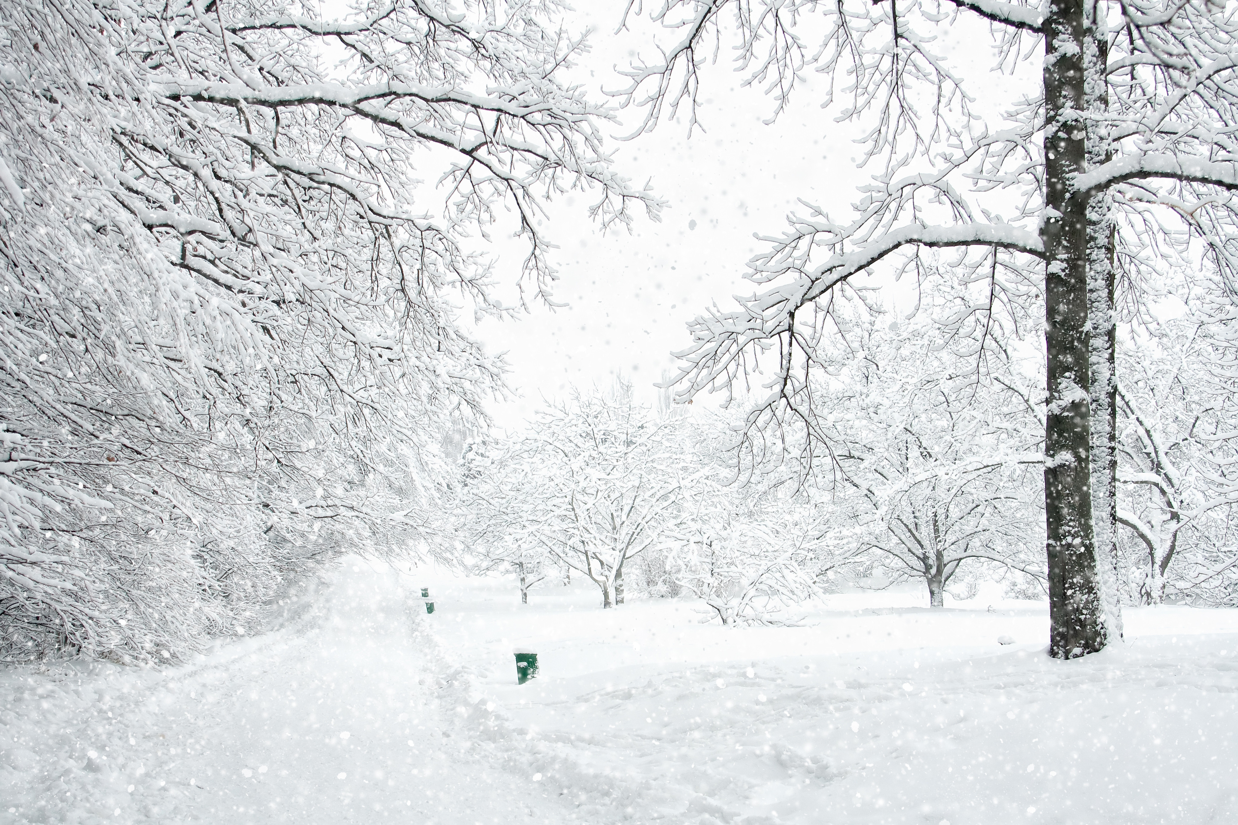 Studiu: Marea mai caldă din Arctica, responsabilă de valurile de frig din Europa
