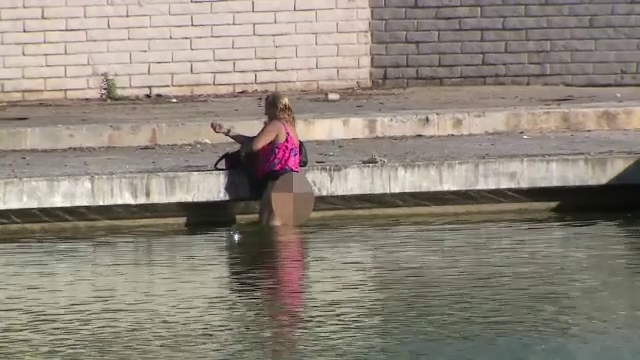 O femeie a mers într-un parc, a scos pistolul și a început să împuște rațele. Ce a urmat este la fel de bizar