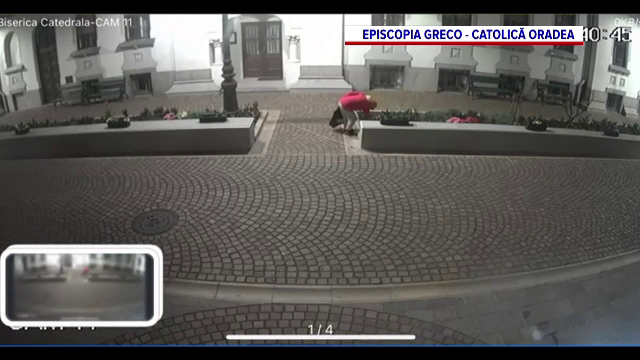 Un hoț a fost surprins în timp ce smulgea florile din jurul catedralei din Oradea