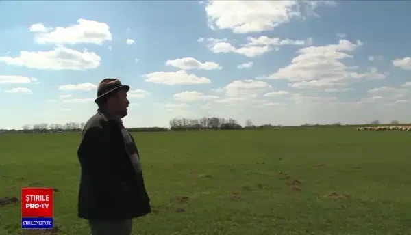 Carnea de miel, mai scumpă și mai greu de găsit pentru Paștele din acest an