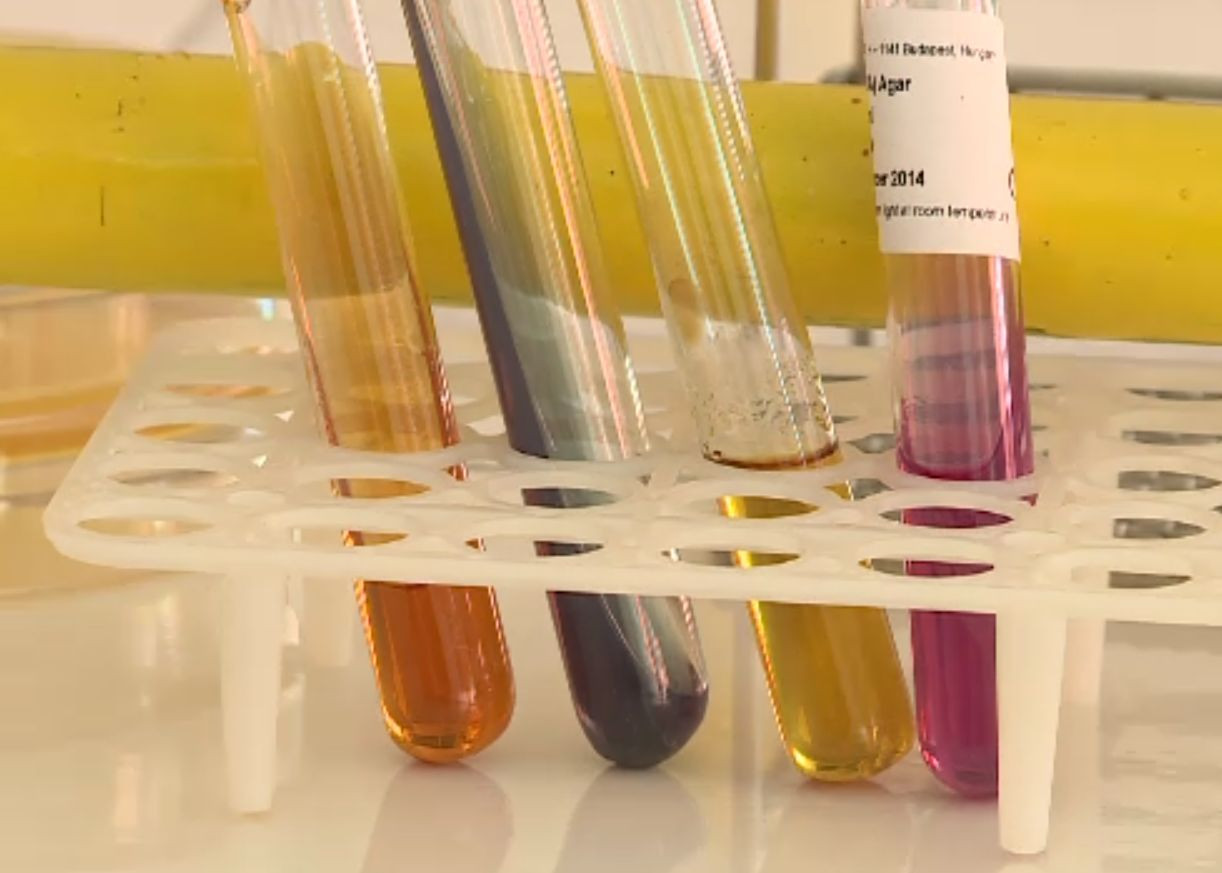 Ciocolata, super-alimentul obținut prin fermentație. Care e singurul ingredient care o strică