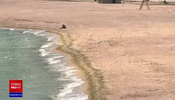 Guvernul a decis deschiderea stațiunilor de pe Litoral de 1 Mai. Ce restricţii rămân