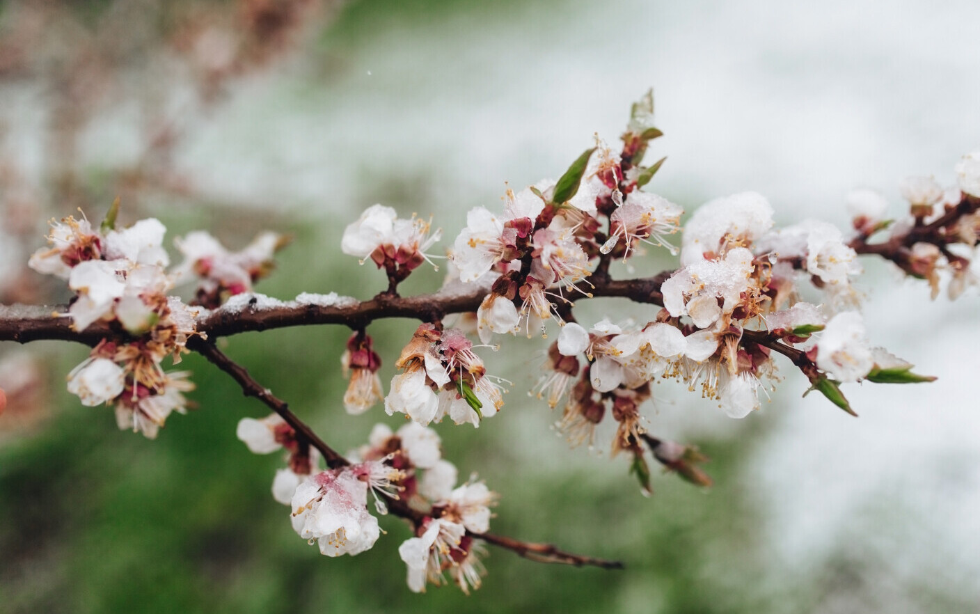 Vremea azi, 9 aprilie. Temperaturile rămân scăzute, iar la munte s-ar putea să ningă puțin