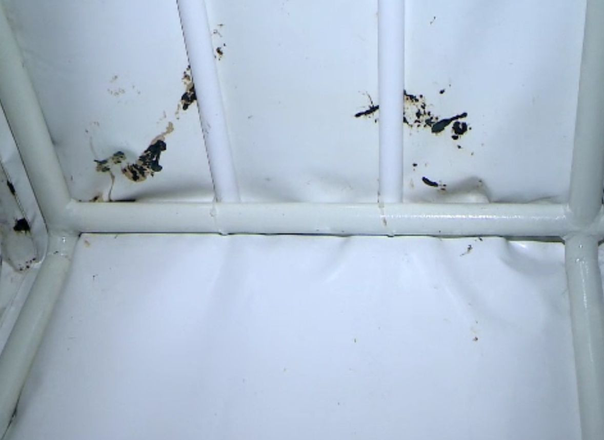 spitalul inchis letcani mucegai