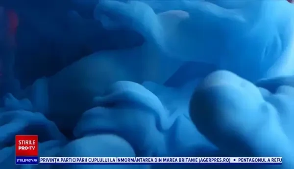 ILikeIT. Artiștii români au început să facă bani din NFT-uri. Cum se împacă arta digitală cu tehnologia criptomonedelor