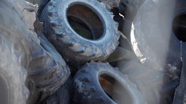 Situație revoltătoare în România: ”Până și merele și ouăle au gustul și mirosul de cauciuc”