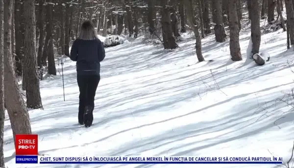 Cabanele izolate din Apuseni sunt la mare căutare. Turiștii au rezervat chiar și până în vară