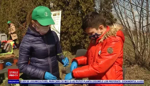 Atelier cu răsaduri, pentru copiii din Cluj Napoca. Cei mici au fost încântați să planteze în ghivece