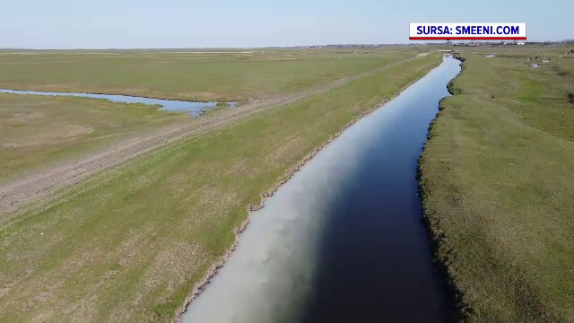 Poluare masivă în Buzău. Apa unui râu a devenit alb-lăptoasă, iar autoritățile nu știu care este cauza