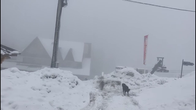 Ninsori la mijlocul lui aprilie. Cu zăpadă de peste 1 metru la munte, vacanța de Paște va fi ca una de iarnă