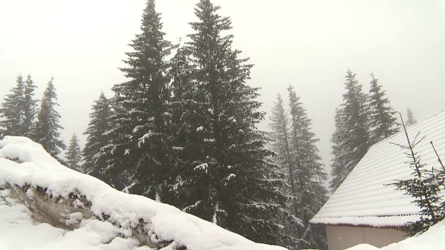 Ninsori în mijlocul lunii aprilie. La Rânca zăpada atinge aproape un metru