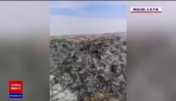 Focar de poluare pe malul Dunării. Resturi de animale, arse chiar pe terenul unui primar