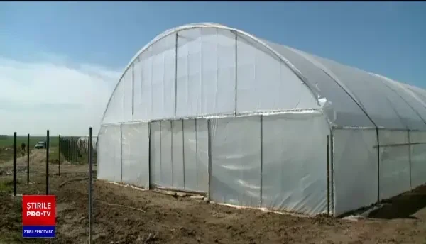 Legumele nu se scumpesc înainte de Paște și sunt chiar mai ieftine decât în anii trecuți