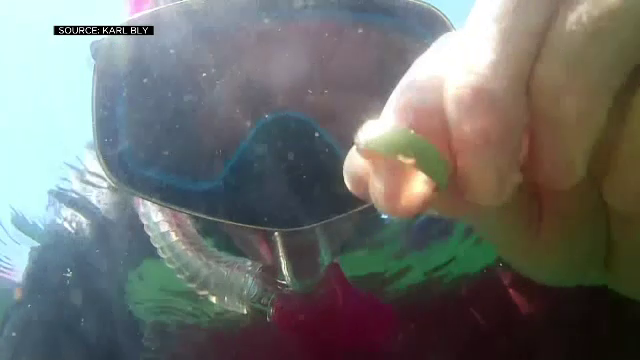 Un scafandru a descoperit o verighetă pe fundul unui râu. Ce a făcut pentru a găsi proprietarul