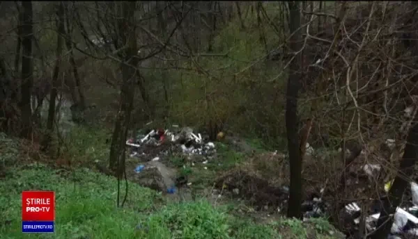 Soluție inedită pentru gestionarea deșeurilor în Maramureș. Decizia autorităților