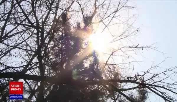 Dezastrul provocat de schimbările climatice. Temperaturile vor crește cu 4-5 grade în următorii ani