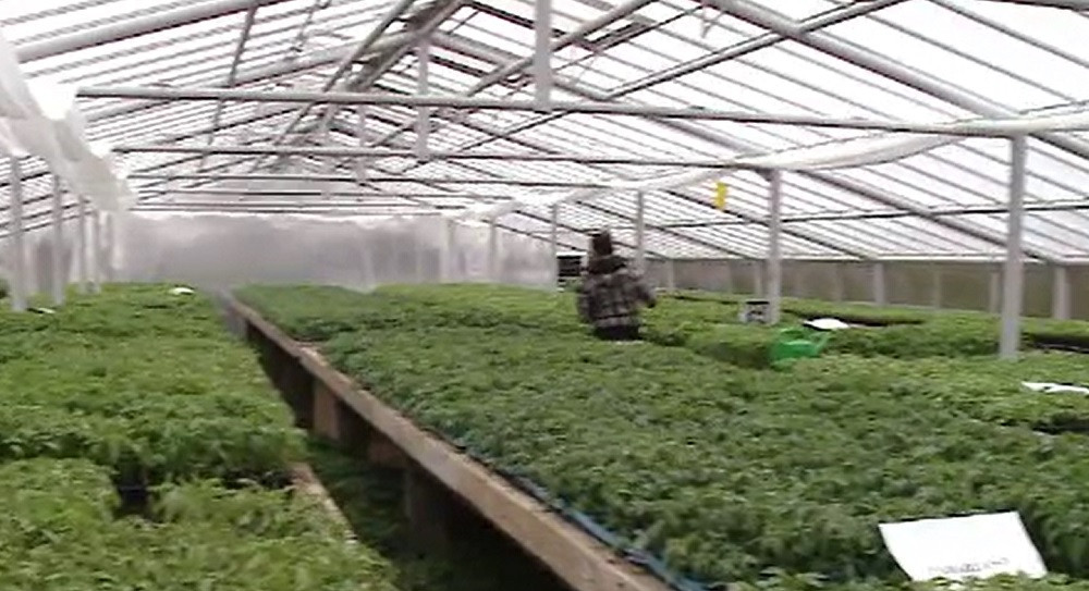 Universitățile de Științe Agricole au pătruns puternic pe piața alimentară. Ce produse oferă