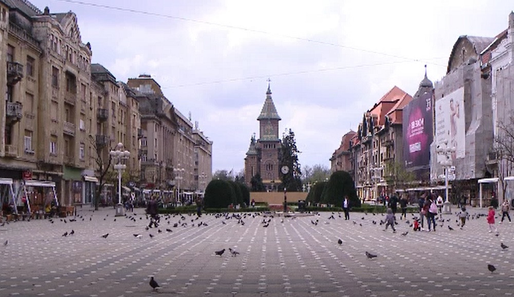 Hrănirea porumbeilor pe stradă, interzisă la Timișoara. Amenzile sunt cuprinse între 100 și 200 de lei