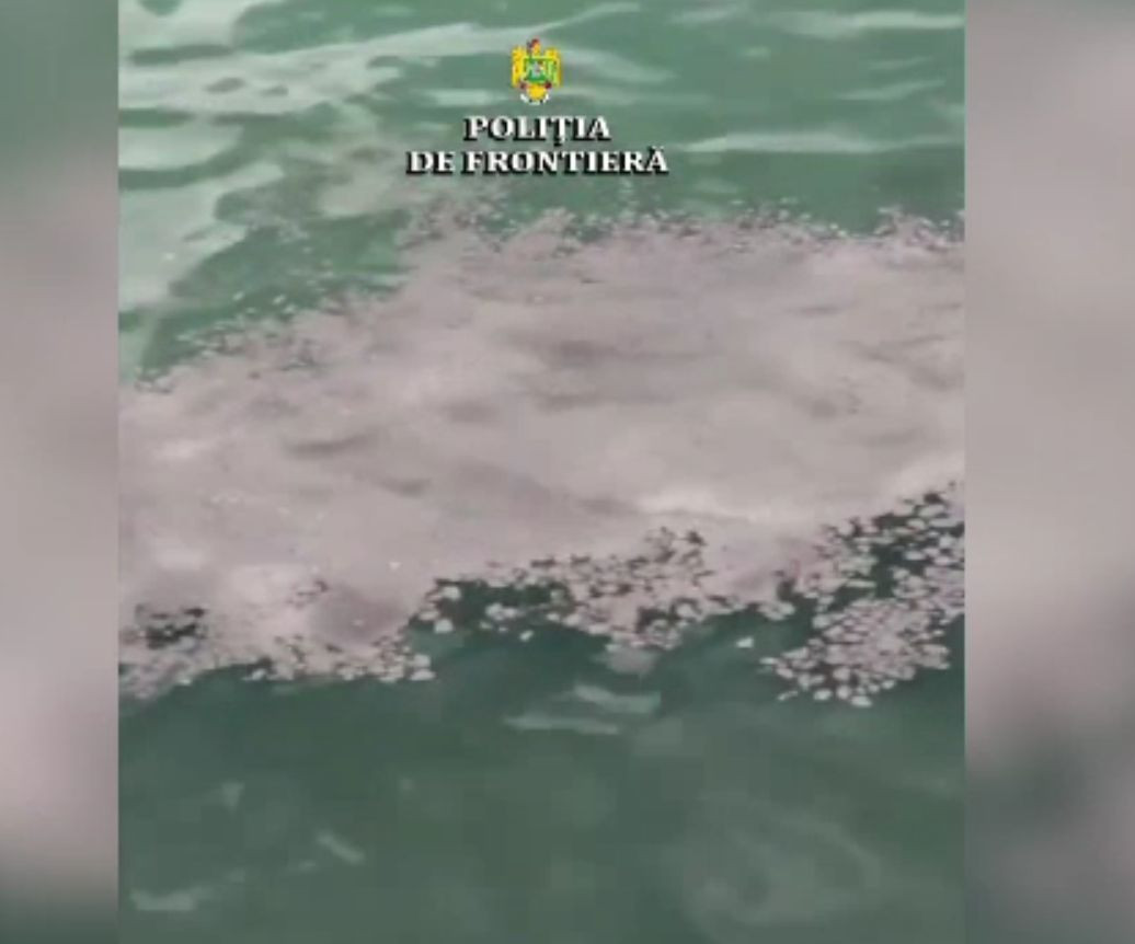 Poluare în portul Constanța, de la o barjă încărcată cu cărbuni. Cum s-a ecologizat zona