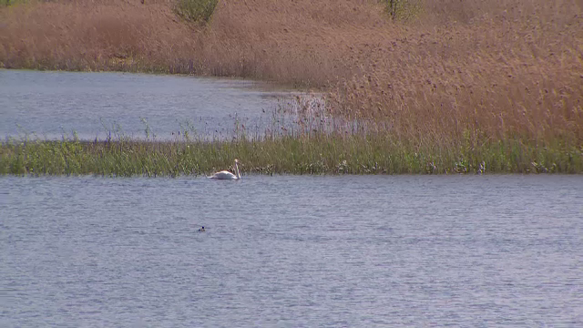 Bucureștiul ar putea să aibă și alte parcuri naturale, pe modelul Deltei Văcărești. Anunțul lui Iohannis