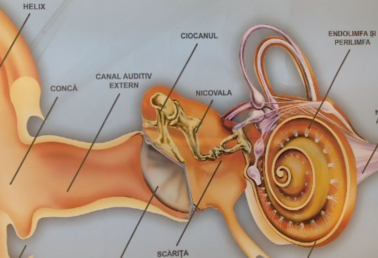CSID. Efecte nedorite ale timpului îndelungat petrecut în fața ecranelor. Afecțiunile pandemiei și cum pot fi ele combătute