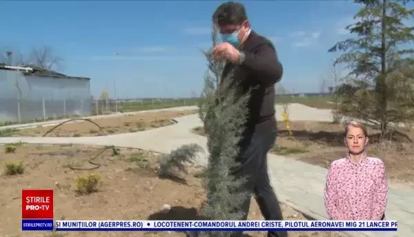 Parcul din Răcari, vandalizat de indivizi necunoscuți. Primarul oferă recompensă pentru identificarea lor