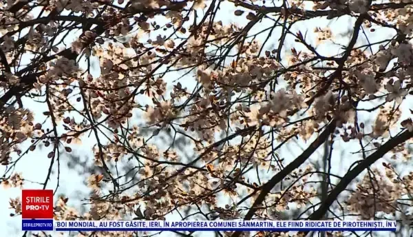 Horoscop 25 aprilie, cu Neti Sandu. O zi de răsfăț pentru balanțe