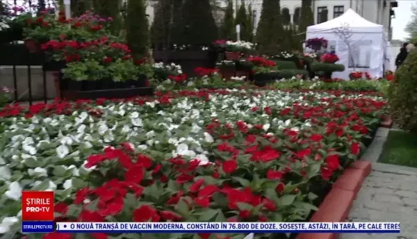 Copiii din Iași sunt în culmea fericirii. Surprizele de care au parte la Sărbătoarea Florilor