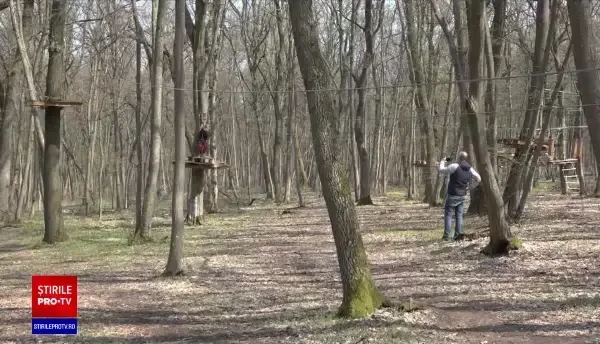Parcurile de aventură din mijlocul pădurii, preferate de familiile care vor mișcare în aer liber