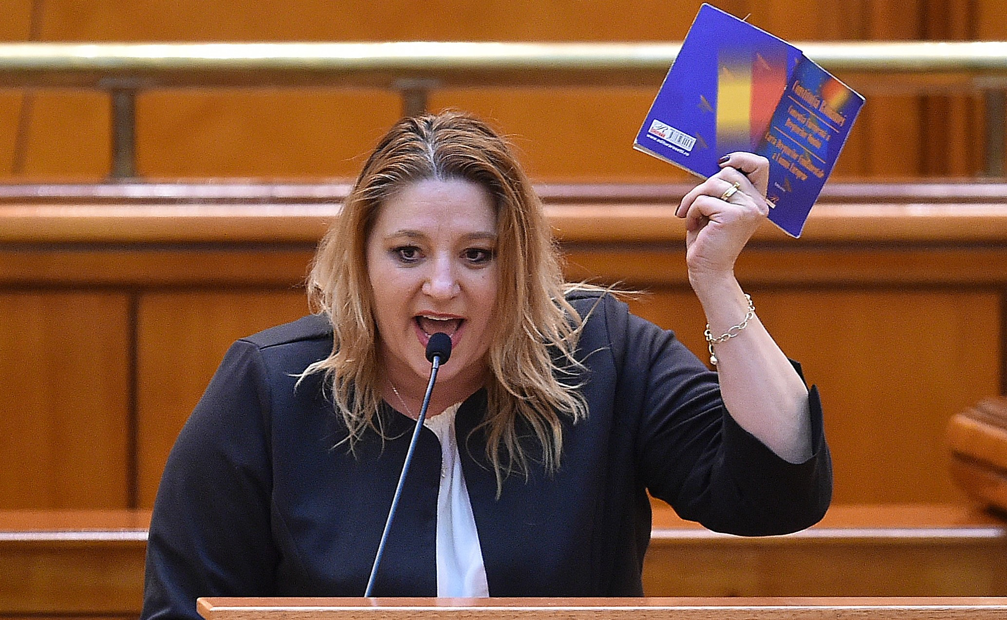 Opinia separată la respingerea candidaturii Dianei Șoșoacă. Argumentele judecătoarei Iulia Scântei în favoarea eurodeputatei