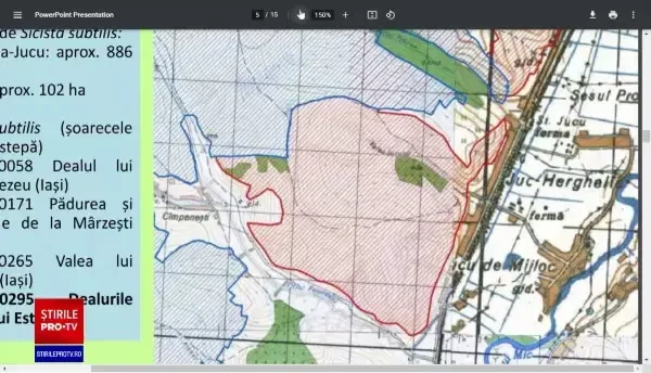 Șoarecele dungat a fost redescoperit în România după mai bine de un secol. Cum ar putea fi protejat