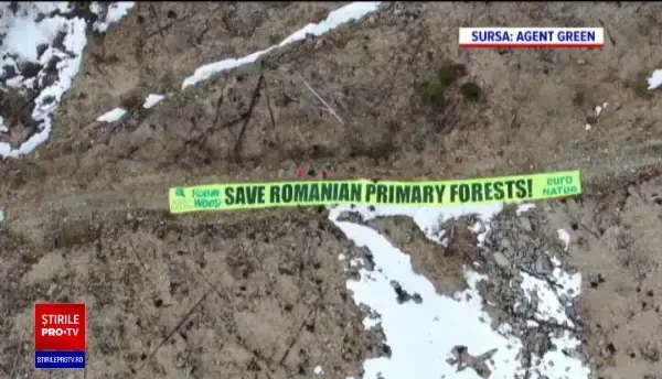 Voluntarii plantează în ritm alert copaci la 1400 de metri altitudine, în zona Făgăraș-Iezeru. S-au defrișat 300 ha