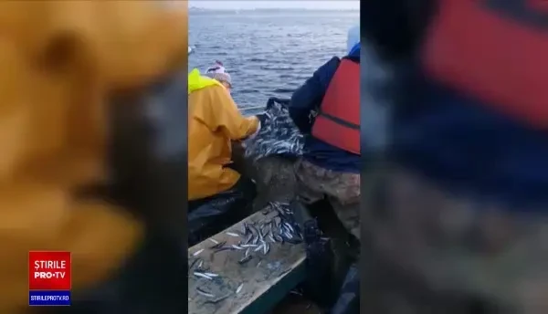 Pescarii români promit că vom mânca mai multe pește din Marea Neagră. De ce nu vom mai importa