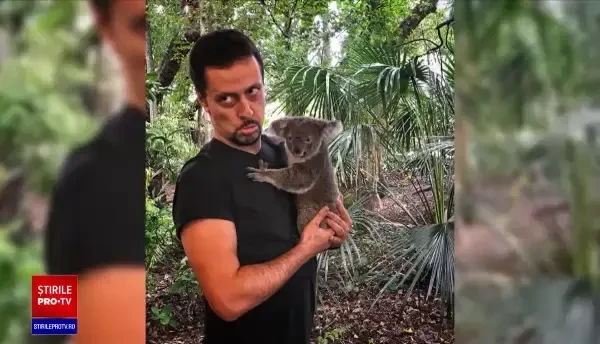 România ar putea introduce vize speciale de şedere pentru nomazii digitali