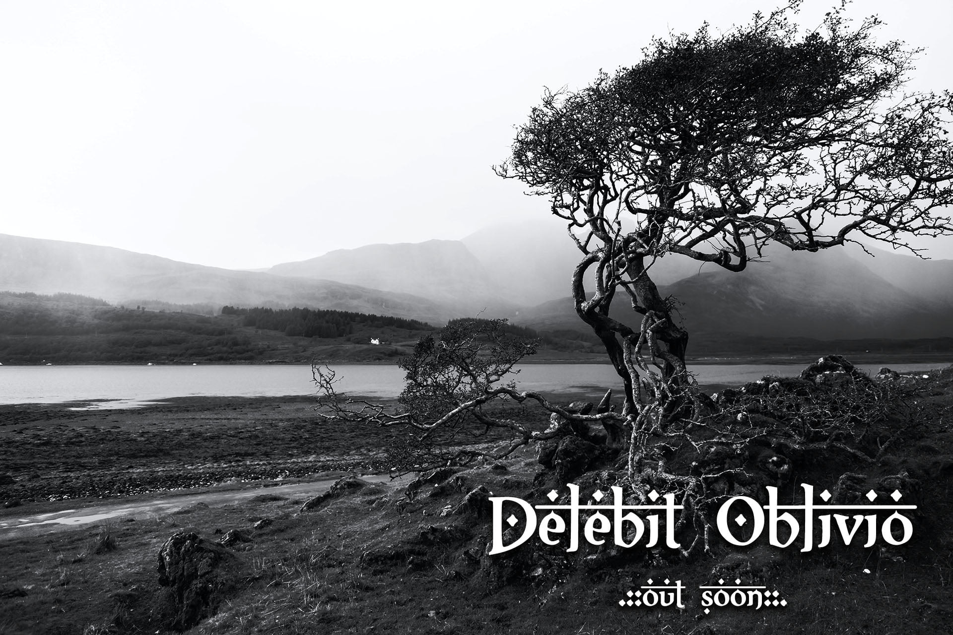 Proiectul românesc-internațional de gothic metal, Cruish-Nir, a lansat un nou single: ”Delebit Oblivio”