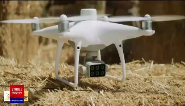 Profesorii îşi pot muta catedra în natură, astfel încât elevii să înţeleagă mai uşor materia