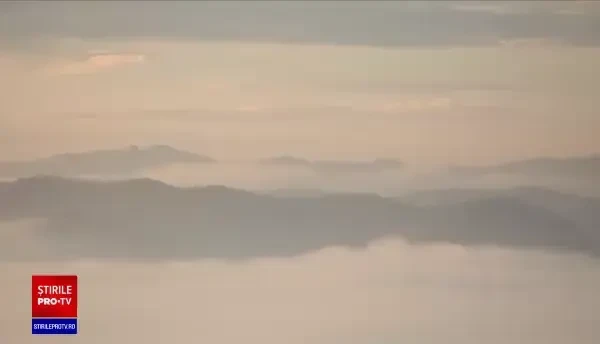 Cum se produce palinca tradițională. Prețul unei sticle îl depăşeşte pe cel al whisky-ului de calitate