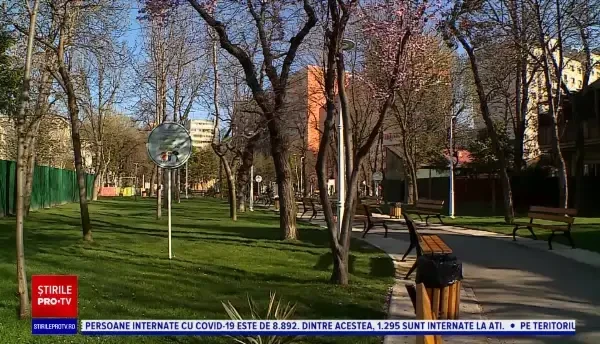 Horoscop 30 aprilie. Leii au găsit o metodă de afirmare și vor câștiga bani