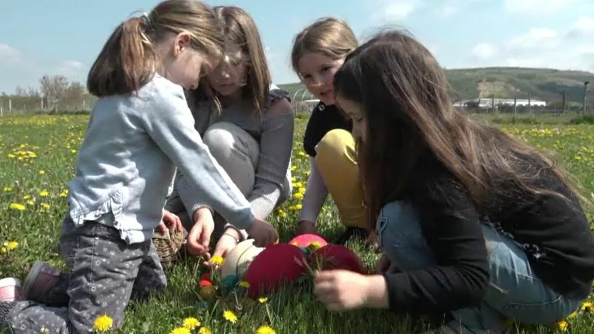 Ouăle de struț, la mare căutare în acest an. Cât ajung să coste cele pictate