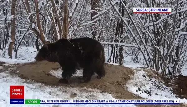 Grădina zoologică din Piatra Neamț va fi desființată, după ce a funcționat timp de 117 ani